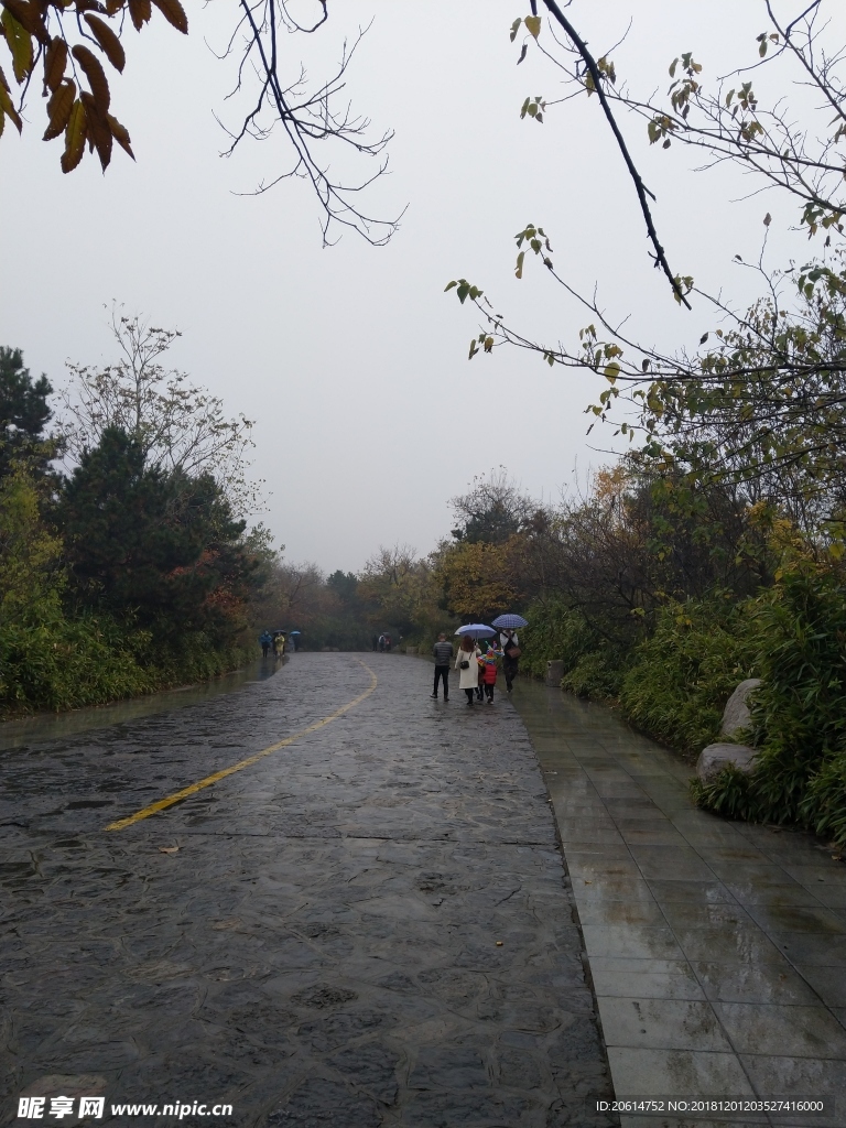 雨天的公園風(fēng)景