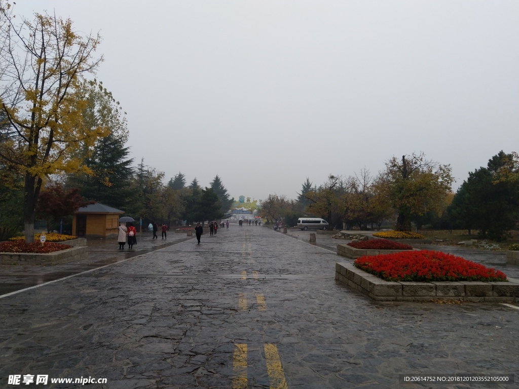 雨天的公園風景
