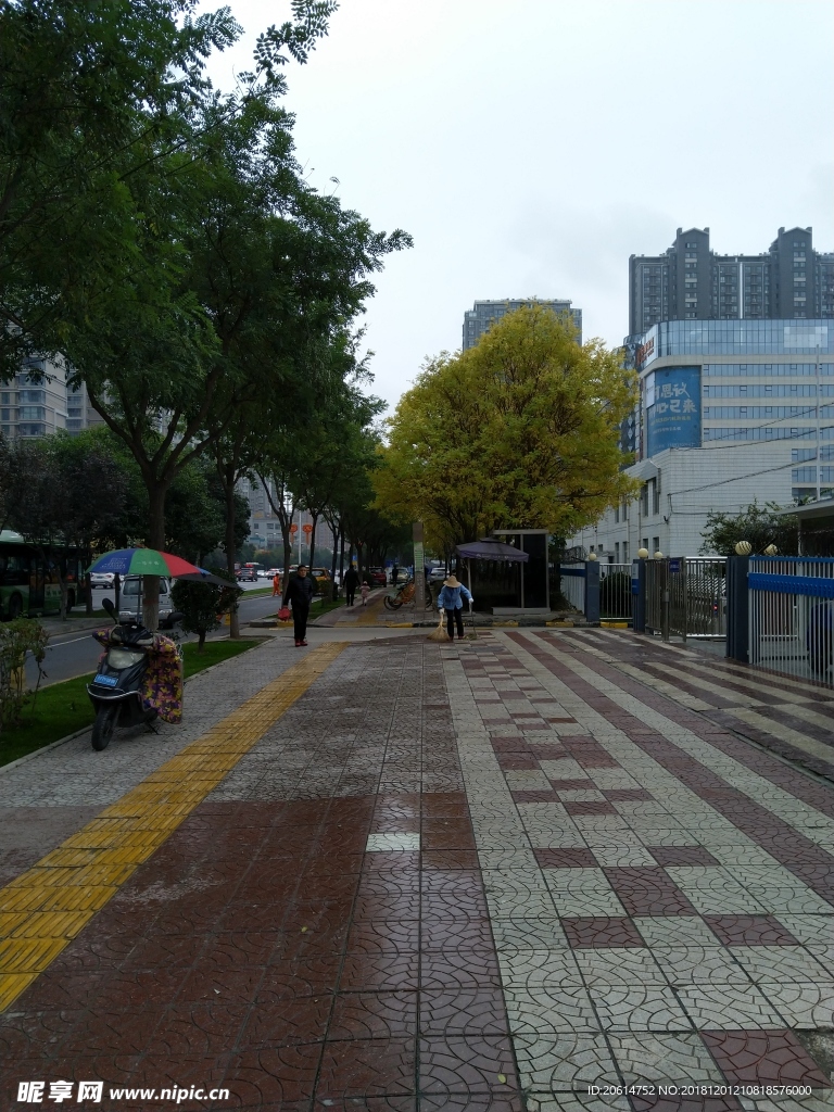 雨天的城市街道