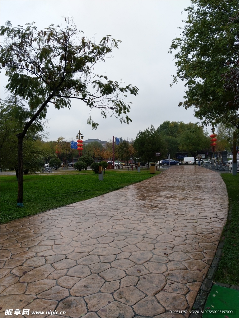 雨天的公園風(fēng)景