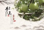 红富士苹果宣传册