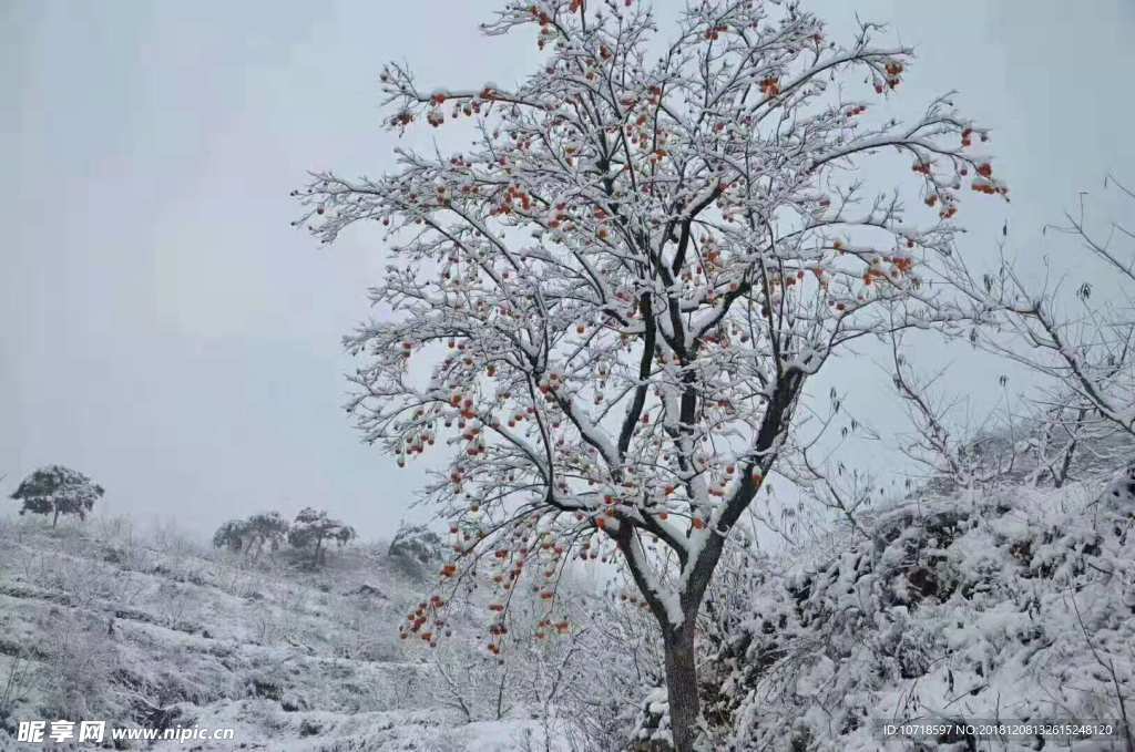 雪天風景
