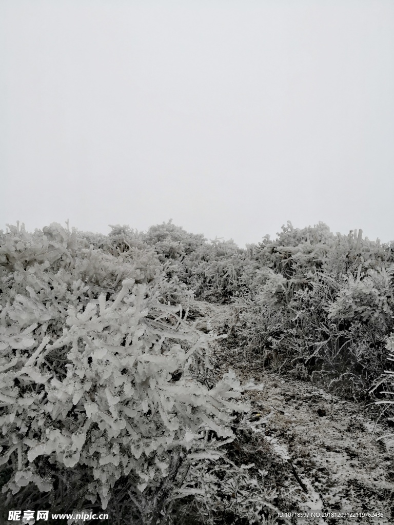 雪天風(fēng)景