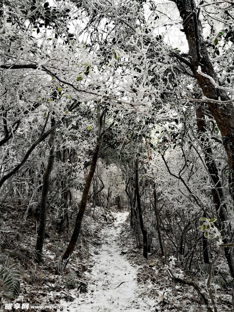 雪天風(fēng)景