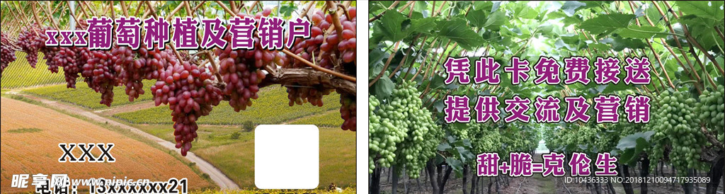 克伦生葡萄种植专业合作社名片