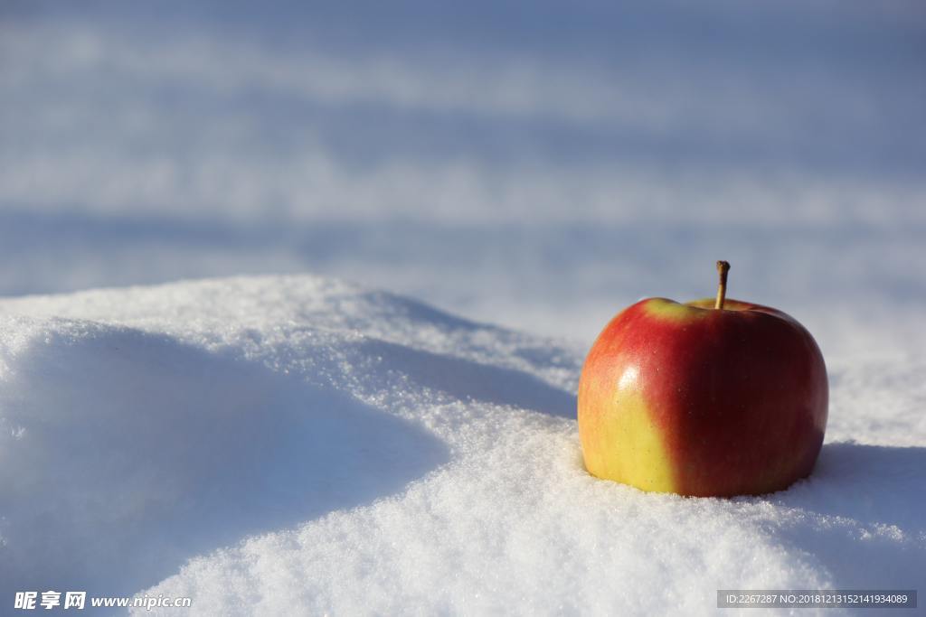 雪地里的蘋果