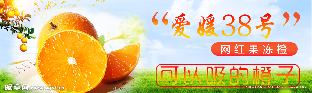 愛媛果凍橙