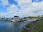 新西兰奥克兰游艇码头风光