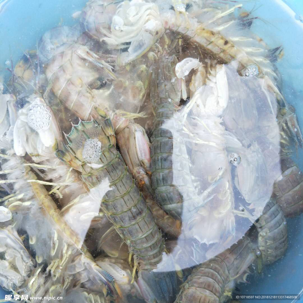 海鮮海產品