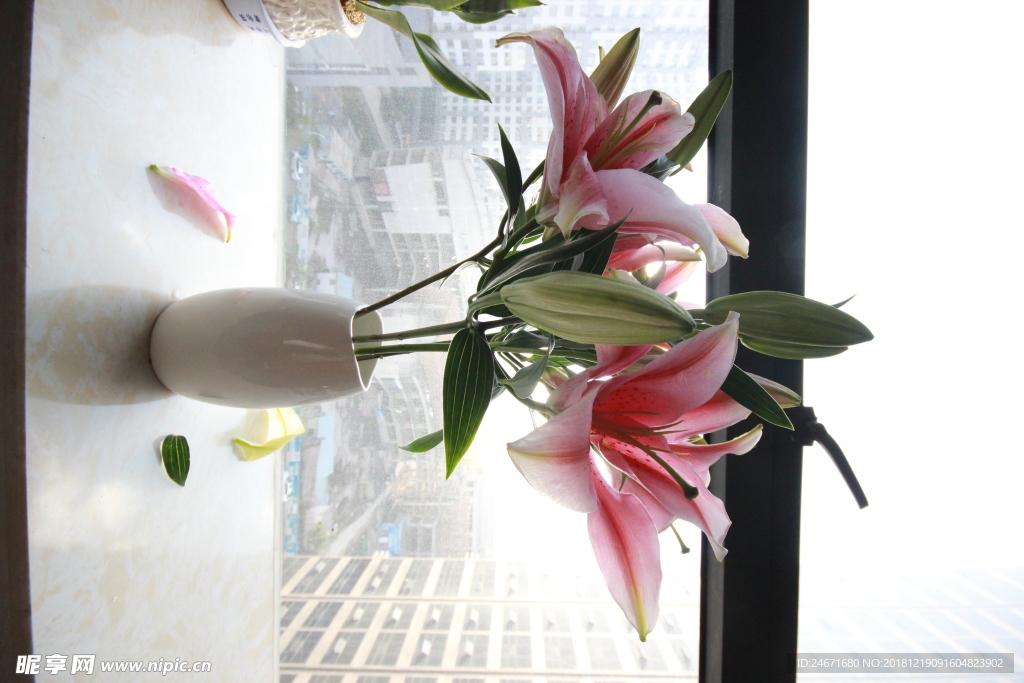 百合花