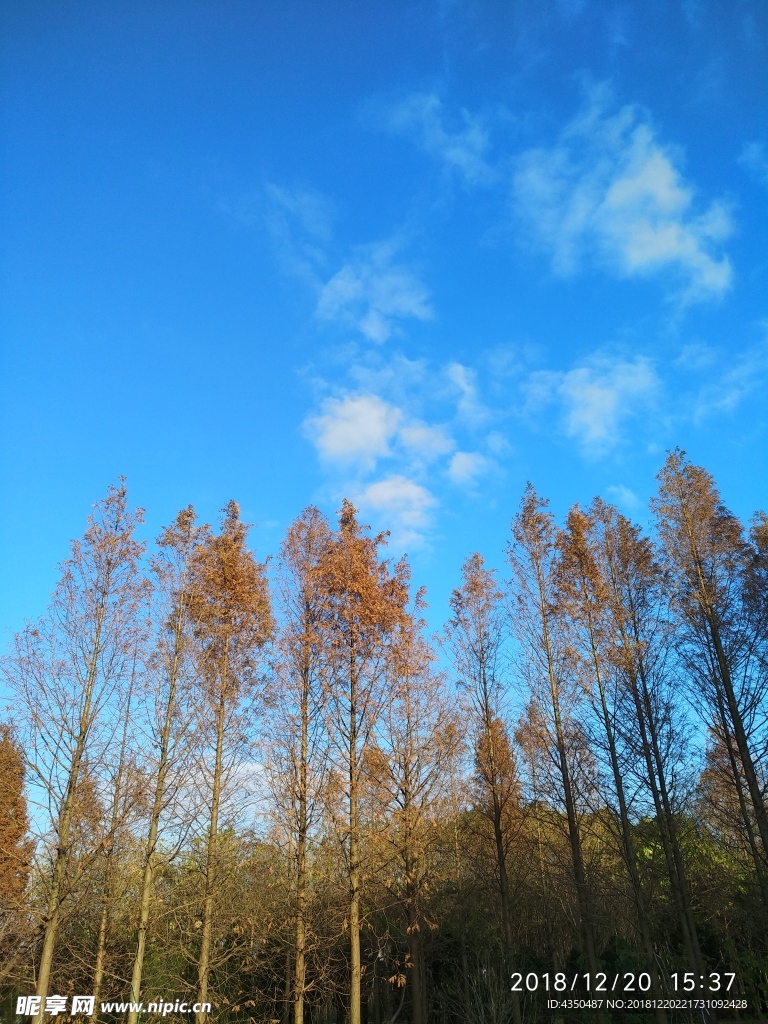 冬日天空