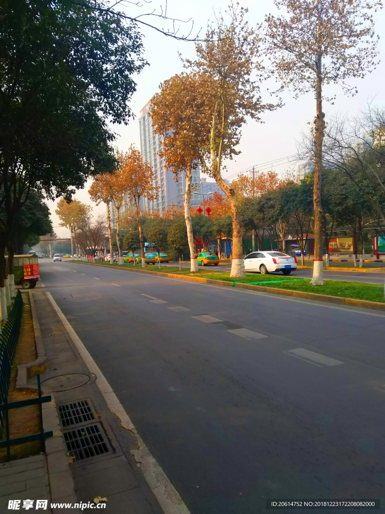 初冬的城市道路風(fēng)景