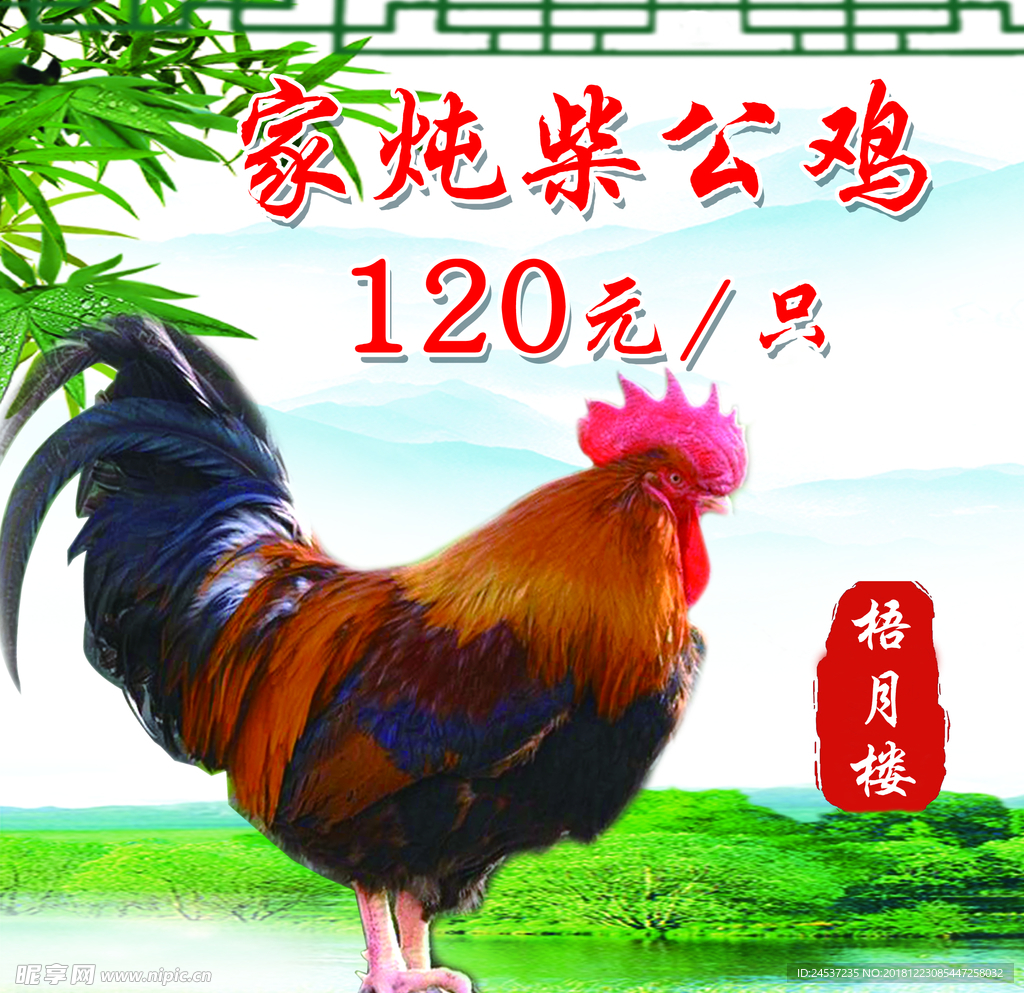 雞 公雞 動(dòng)物 中國 生肖
