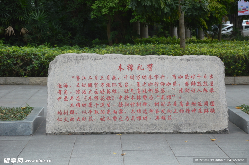 木棉禮贊