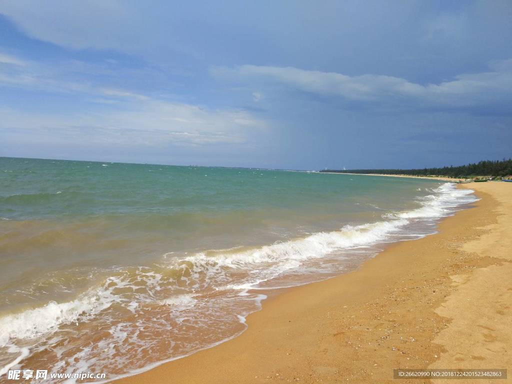 大海