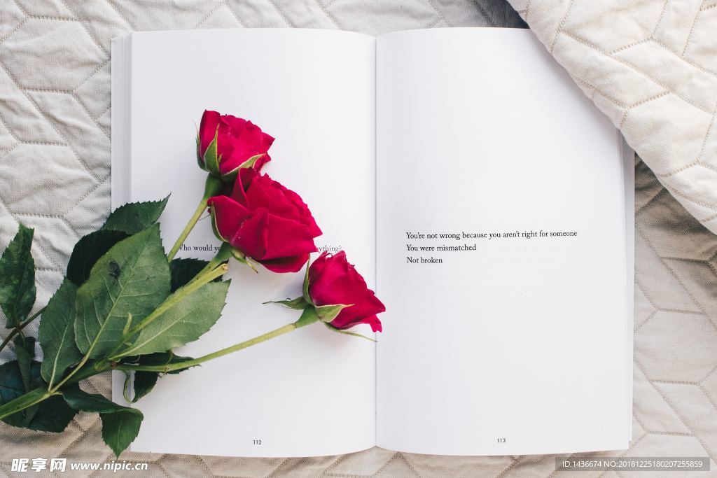 玫瑰与书