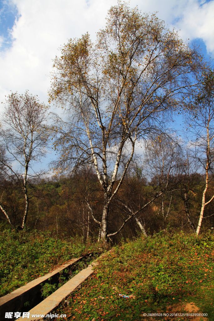 關(guān)山