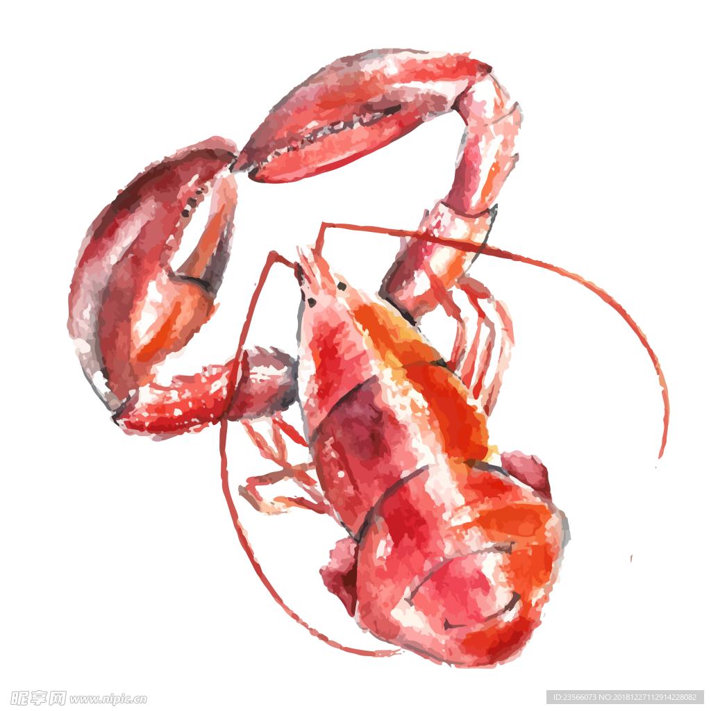 水彩绘画海虾螃蟹小龙虾海产图案