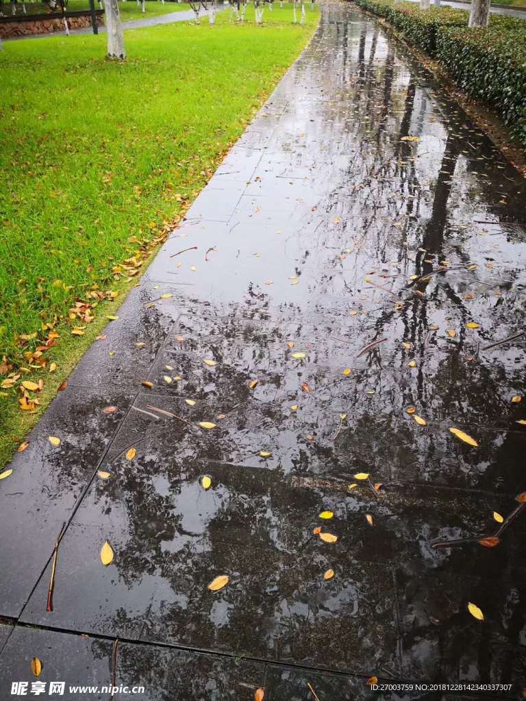 雨后知秋