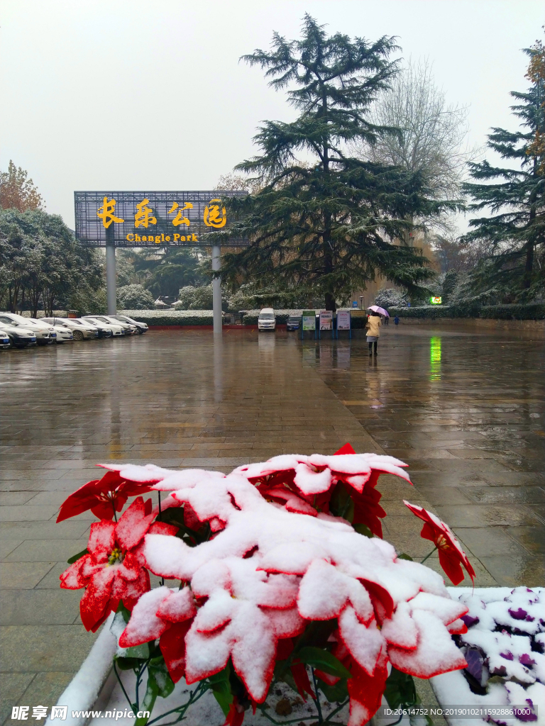 雪天下的公園風景
