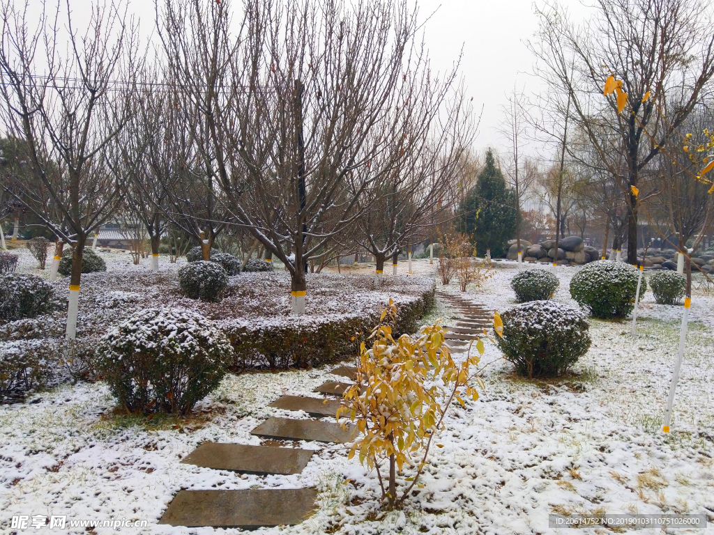 雪天下的公園風(fēng)景