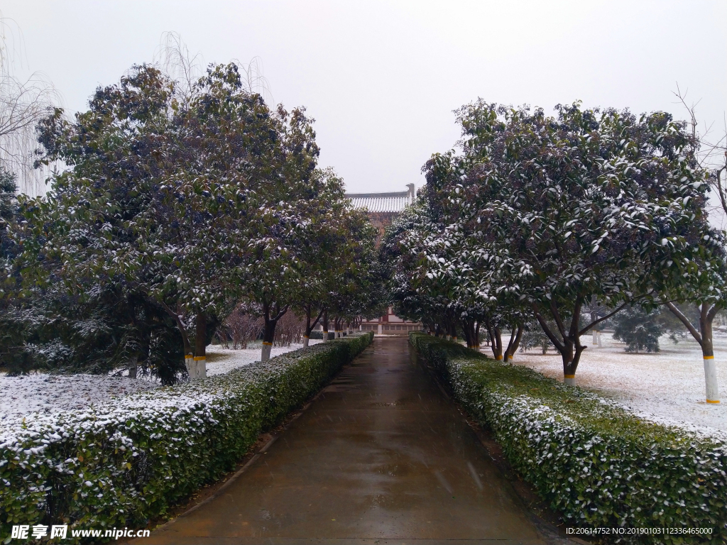 雪天下的公園風景