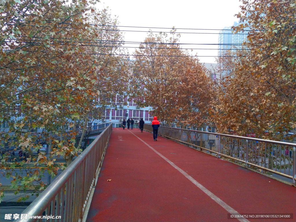 深秋時節(jié)的城市道路