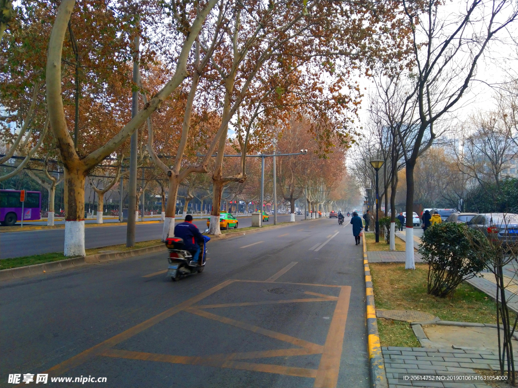 深秋時節的城市道路