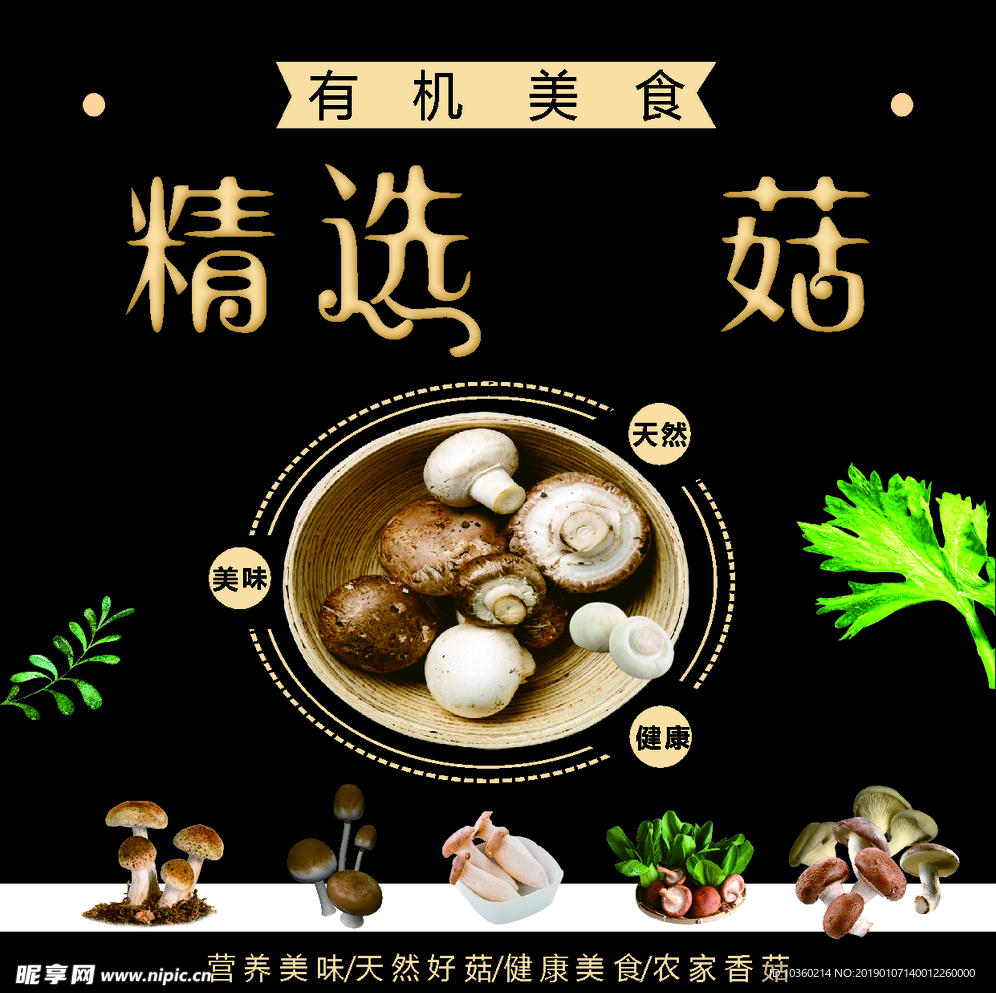 精選香菇