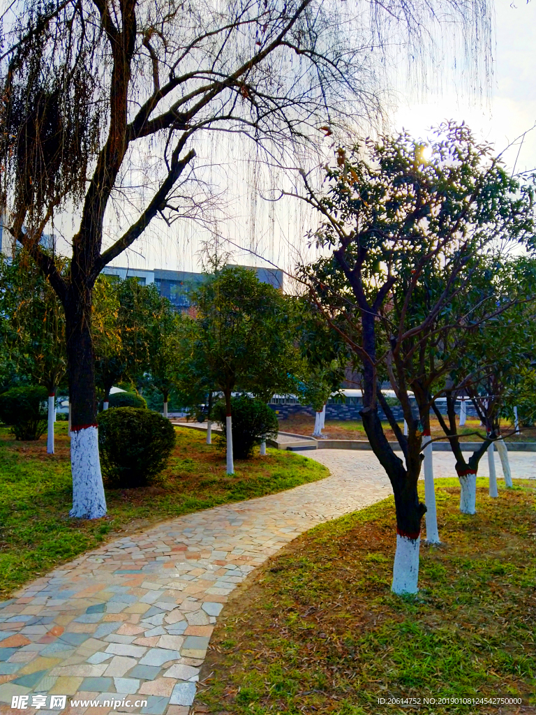 夕陽西的公園風(fēng)景