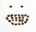 笑脸咖啡豆