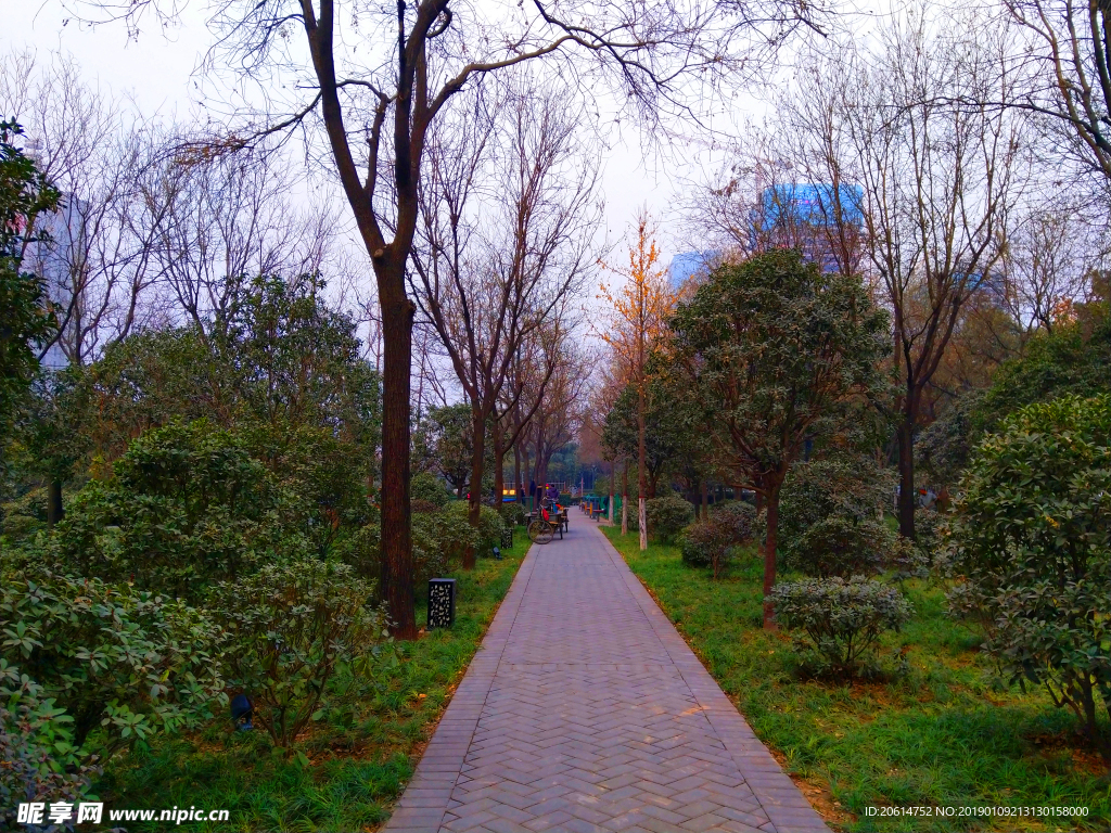 空荡荡的公园风景