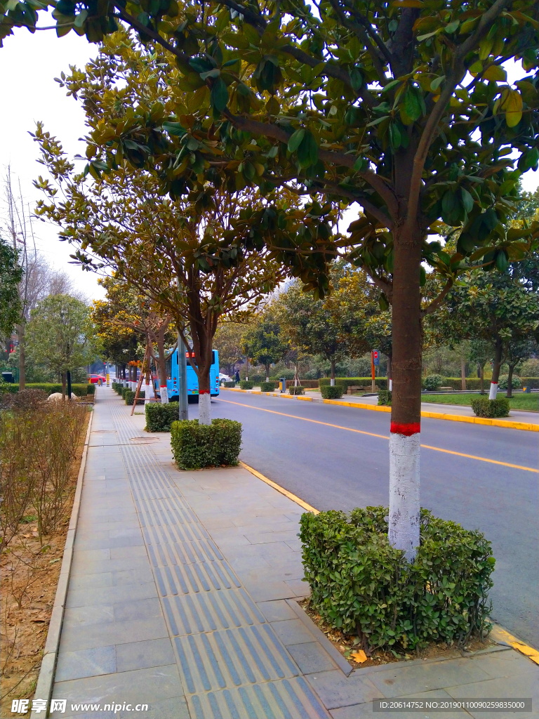 城市道路風景