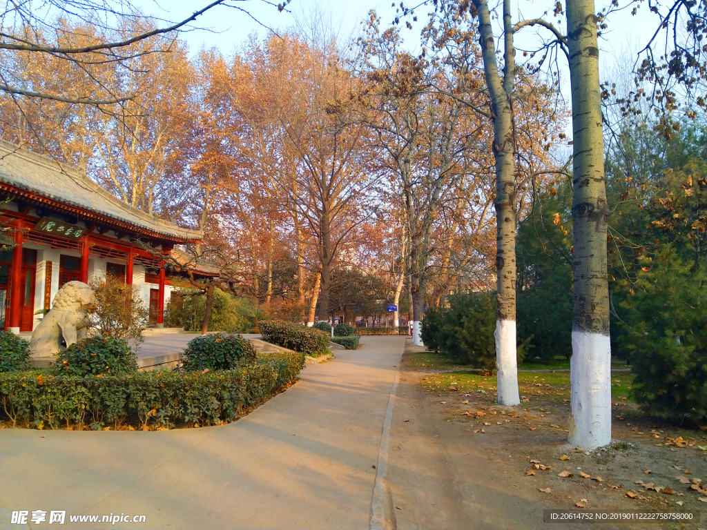 空荡荡的公园风景