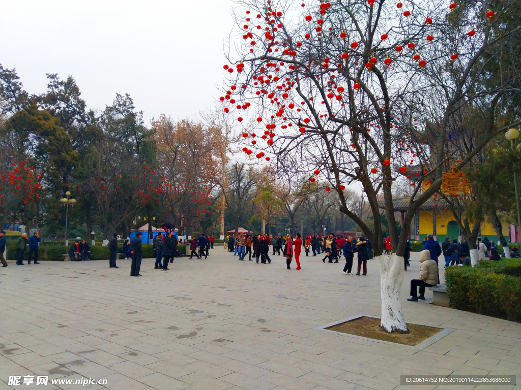 美麗的公園風景