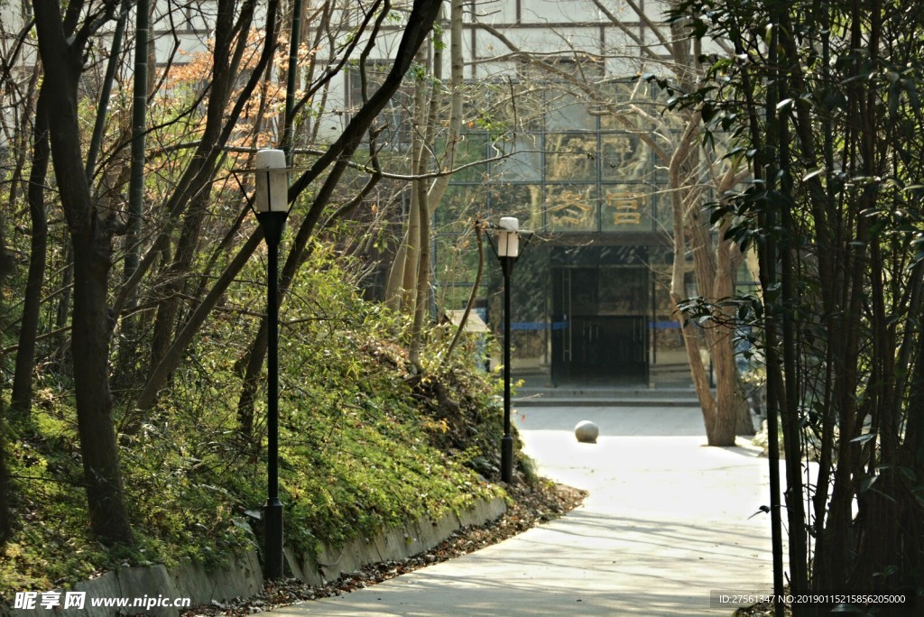 竹林小道