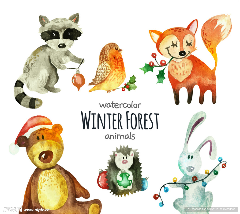 6款彩绘冬季森林动物矢量图