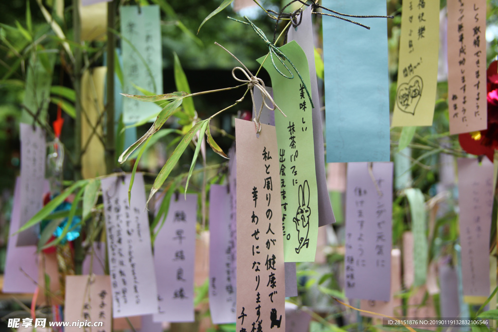 日本摄影素材许愿树