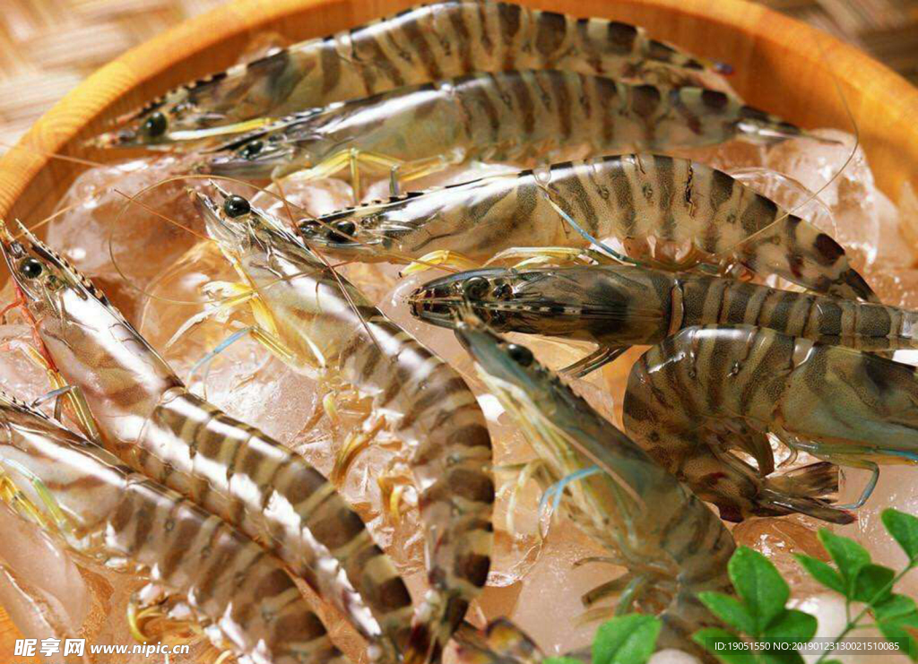 基圍蝦