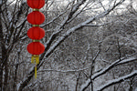 雪天红灯笼