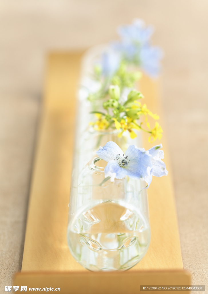 清新的鮮花