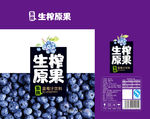 生榨原果-蓝莓