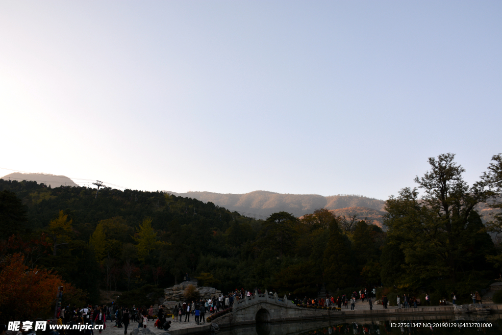 山
