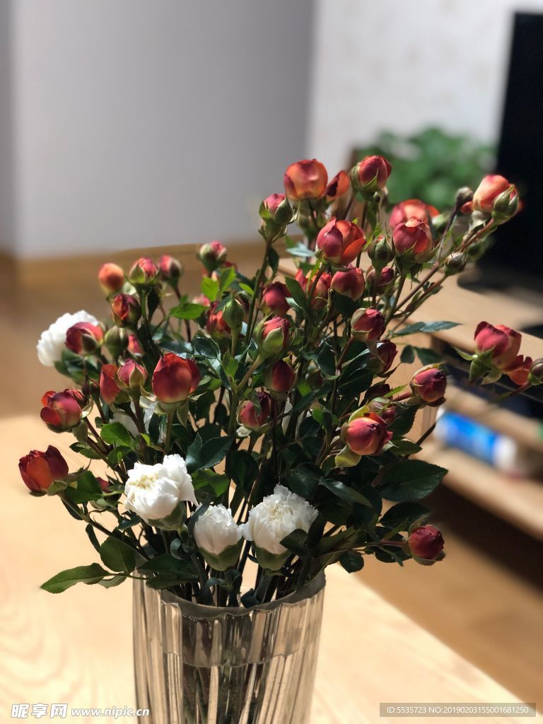 花卉