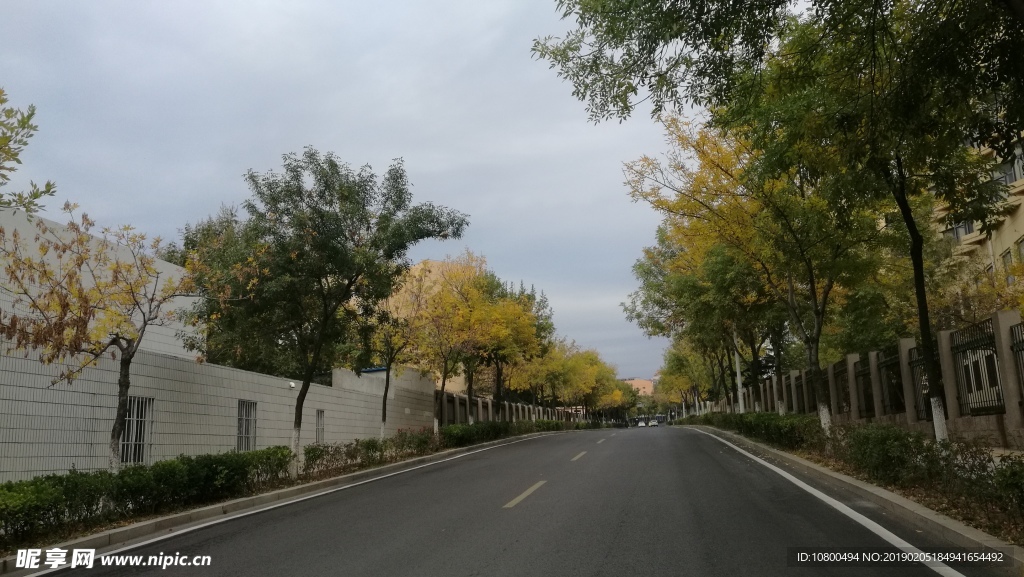 云時有路和路上的樹
