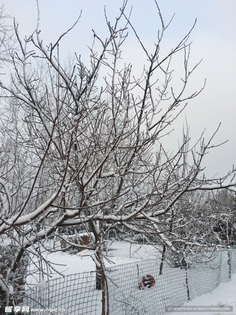 雪景 大雪  雪  自然風景