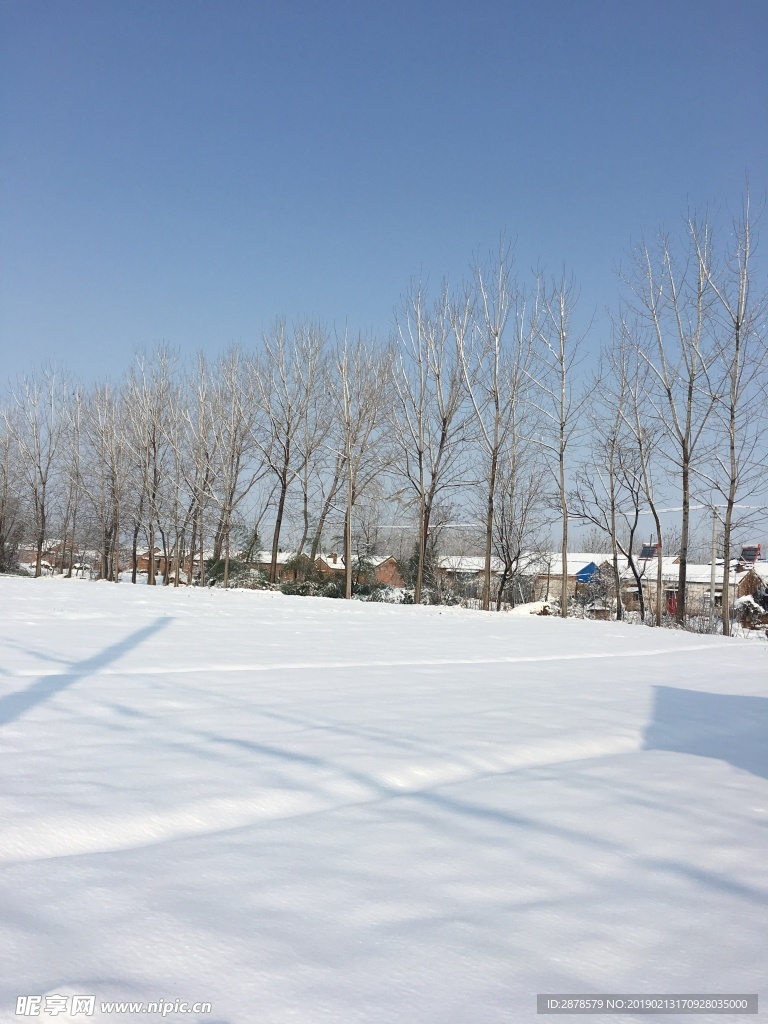 雪景 大雪  雪  自然風景