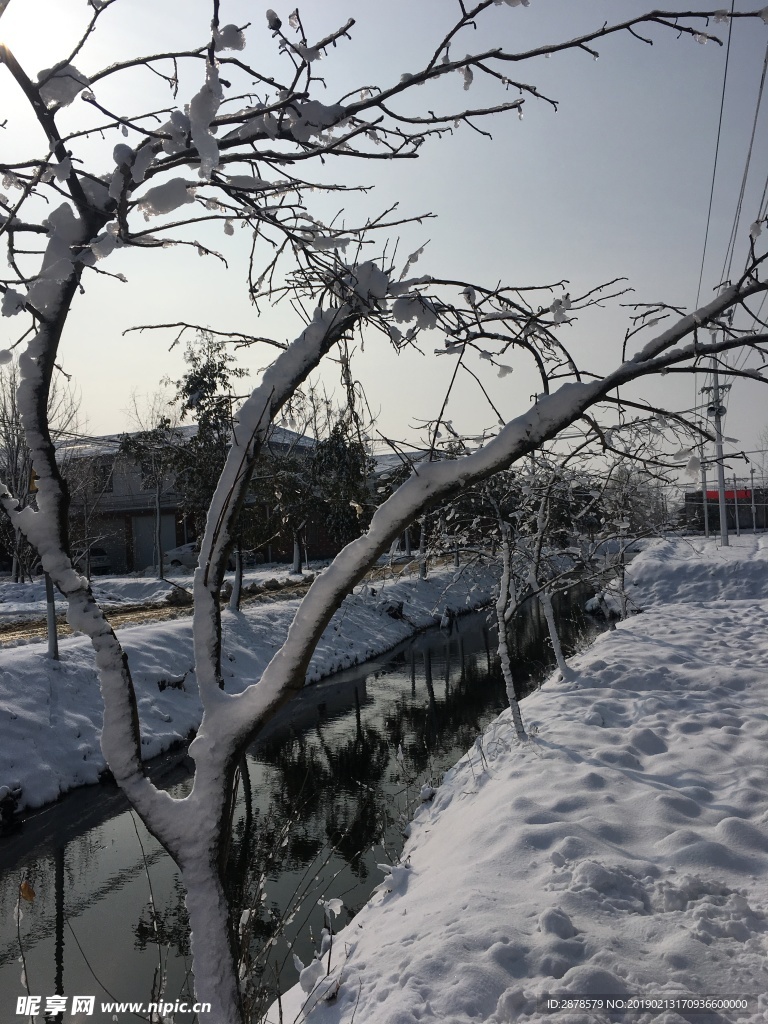 雪景 大雪  雪  自然風景
