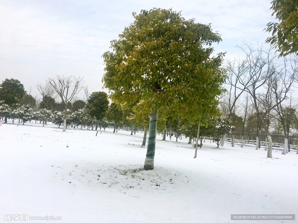 雪景 大雪  雪  自然風(fēng)景