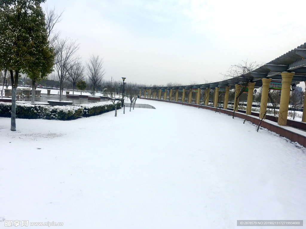 雪景 大雪  雪  自然風景